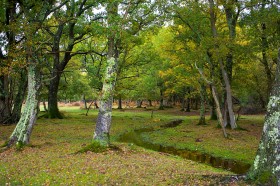 平台注册